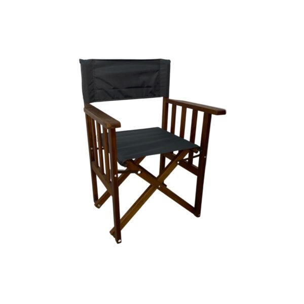 Sillon Director Plegable